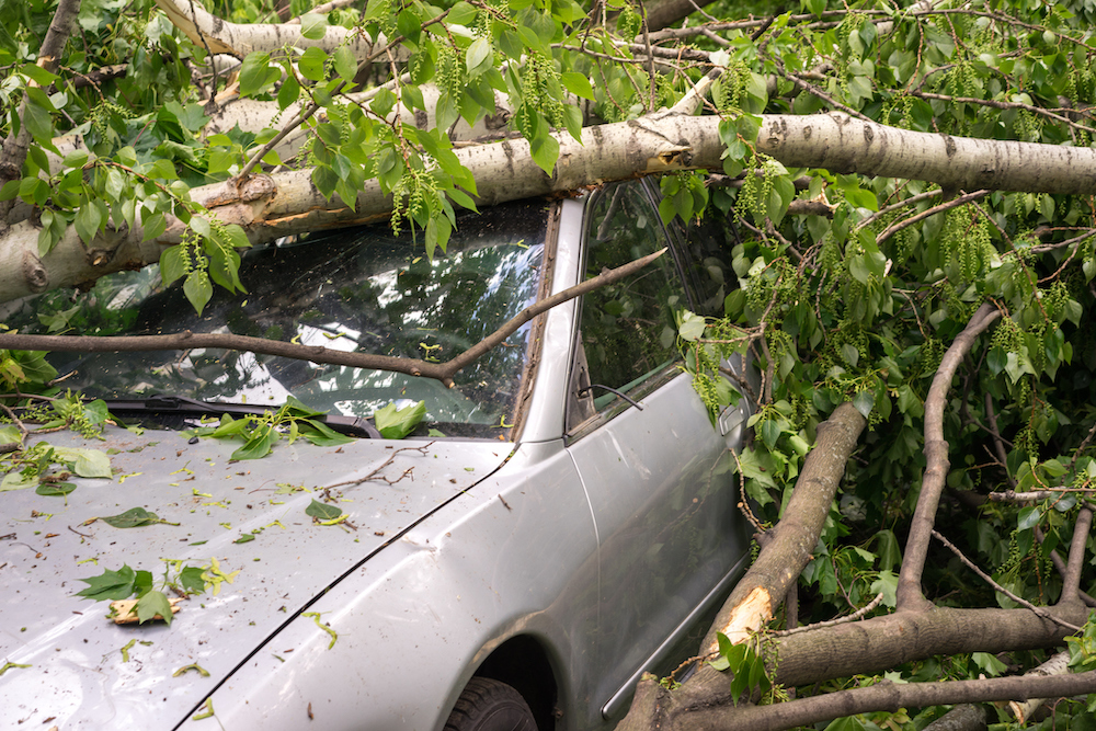 What Do I Do if My Vehicle is Damaged by a Tornado?