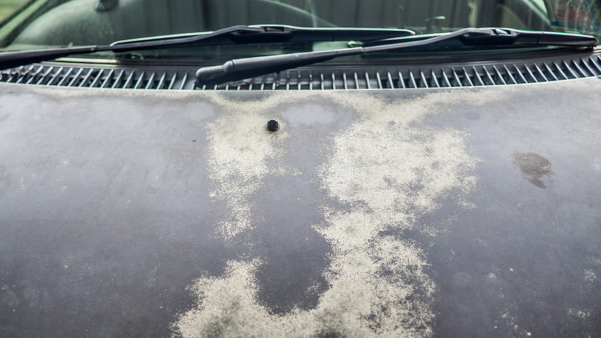 Ten Things That Can Damage Car Paint