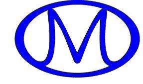 Collision Masters 3739 Sea Mountain Hwy, Little River, SC 29566 Collision Masters Logo