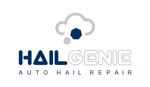 Hail Genie Logo