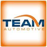 Team Ford Logo