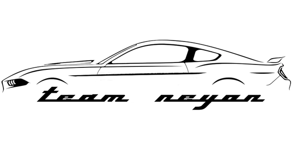 Team Neyon LLC 314 Circle Drive, Archdale, NC 27263 Team Neyon LLC Logo