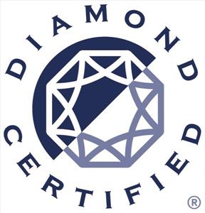 Auto Collision Experts-3rd Generation Family Owned Logo