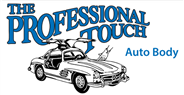 Professional Touch Logo