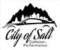 City of Salt Collision 4688 S. Riverside Drive, Murray, UT 84123 City of Salt Collision Logo
