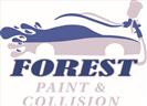 Forest Paint & Collision 1291 Burnbridge Rd, Forest, VA 24551 Forest Paint & Collision Logo