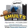 Shults Ford at Route 28 Inc 1300 Gulf Lab Road, Pittsburgh, PA 15238 Shults Ford at Route 28 Inc Logo