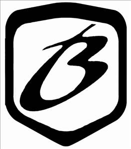 Busters Auto Art Logo
