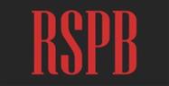 Rock Spring Paint & Body Logo