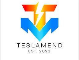 Teslamend Collision & Glass 585 E Highland Road Unit D, Macedonia, OH 44056 Teslamend Collision & Glass Logo