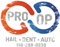 Professional Option Logo