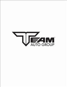 Team Ford - Lincoln Logo