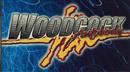 Woodcock Auto Body and Repairs, Inc Woodauto@Frontiernet.Net, Washingtonville, NY 10992 Woodcock Auto Body and Repairs, Inc Logo
