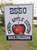 Candy Apple Custom Logo