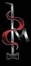 Precision Dent Masters Logo